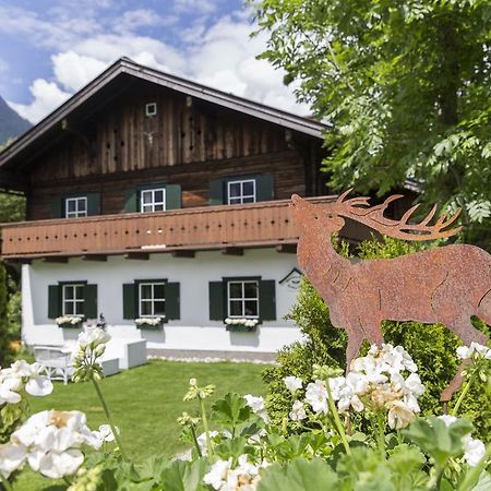 Forest Chalet Retreat: Mountain Views, Sauna & Garden Oasis Golling an der Salzach Exterior photo