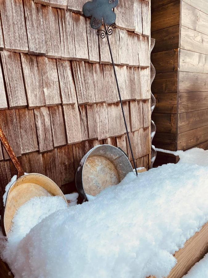 Forest Chalet Retreat: Mountain Views, Sauna & Garden Oasis Golling an der Salzach Exterior photo