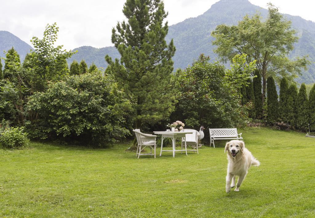 Forest Chalet Retreat: Mountain Views, Sauna & Garden Oasis Golling an der Salzach Exterior photo