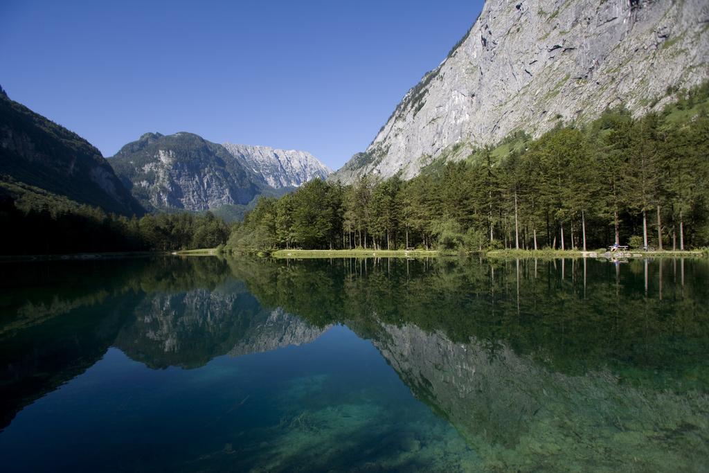 Forest Chalet Retreat: Mountain Views, Sauna & Garden Oasis Golling an der Salzach Exterior photo